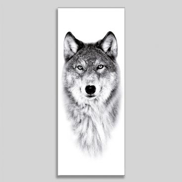 Collection Animaux - Forex - Tableaux décoratifs muraux