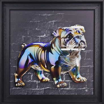 Bulldog – Plexi encadré déporté – Tableaux décoratifs muraux